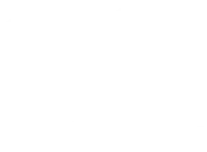 Total Energies